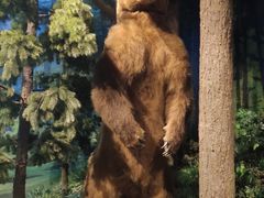 -陕西自然博物馆