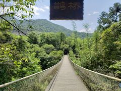-天台国家森林公园水上茶乡九鹏溪