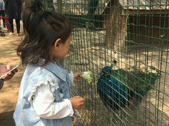 -意大利农场度假村