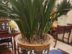-顺峰(阜成店)