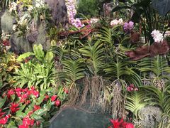 -北京植物园-展览温室