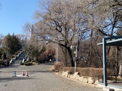 -北山公园