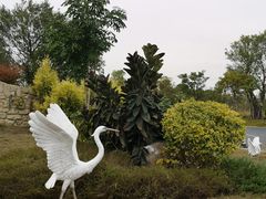 -琅岐红光湖公园