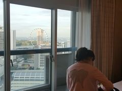 -新加坡瑞士史丹福酒店