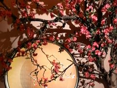 -觅唐MITONG(鸟巢店)