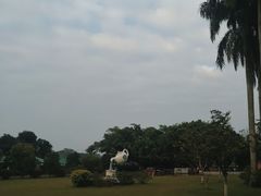 -侯臣咖啡文化村