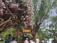 -中国翰园碑林