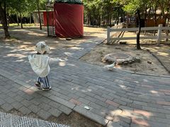 -1982农场