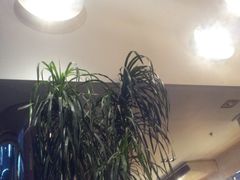 大堂-鹿港小镇(中关村店)