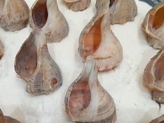 -新丁香海鲜酒店(银海商贸城店)