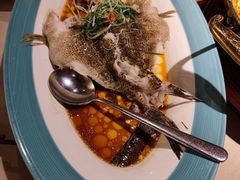 清蒸笋壳鱼-尚一汤·粤菜海鲜(环球港店)