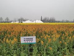 -中国天府农业博览园