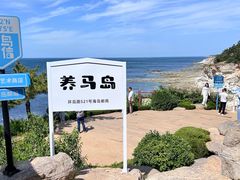 -养马岛旅游度假区
