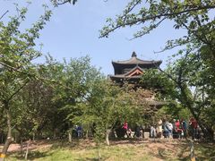-西安青龙寺遗址景区