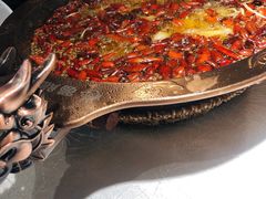 -雲蜀龙阁·金牌水煮鱼(方庄店)