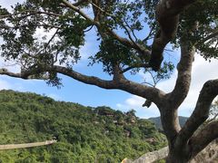 -亚龙湾热带天堂森林公园