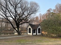 -上海滨江森林公园