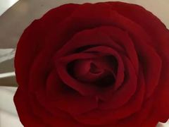 -朴境采耳·足道按摩(科学大道旗舰店)