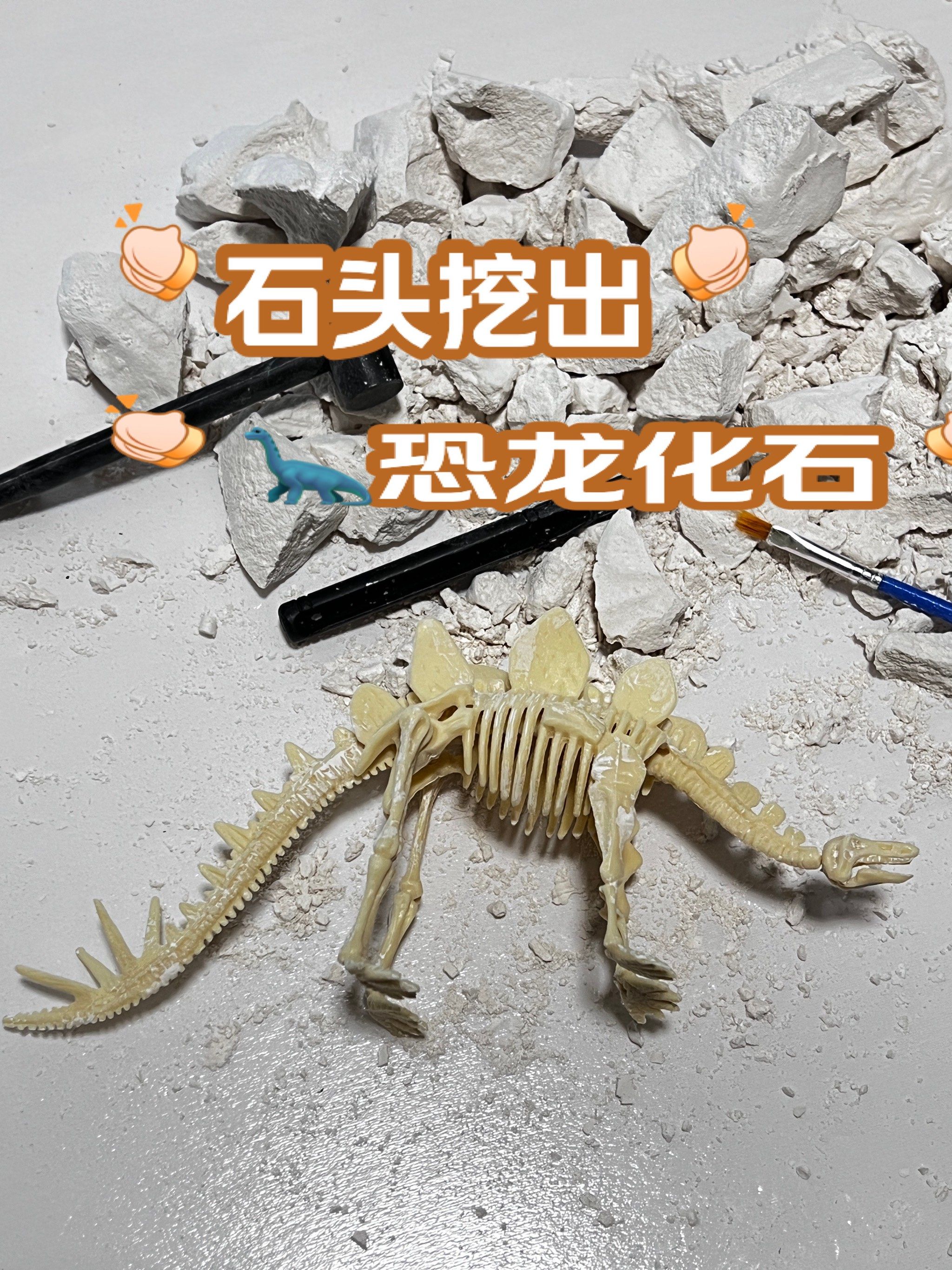 化石碎片拼成一只恐龙0375