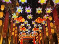 -朝花夕拾中餐厅(台儿庄古城复兴广场店)