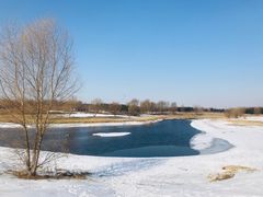 -蒲河岛湿地公园