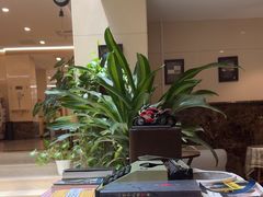 -阿什卡咖啡馆ESSCA COFFEE(塔里木石油宾馆店)