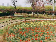 -咸阳湖景区-统一广场