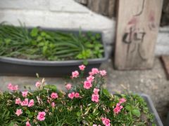 -较场尾