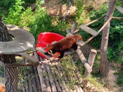 -大连森林动物园