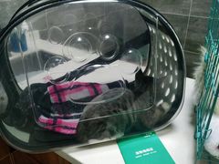 -美联众合宠物医院·爱萌分院·内外科·猫科中心