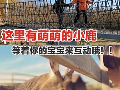 -安德鲁户外烧烤帐篷营地(马泉营店)