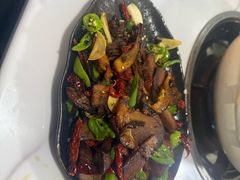 -蘑统田下·野生菌火锅