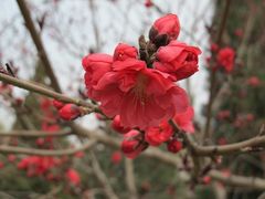 景点-裕华世纪公园