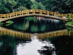 -晓港公园