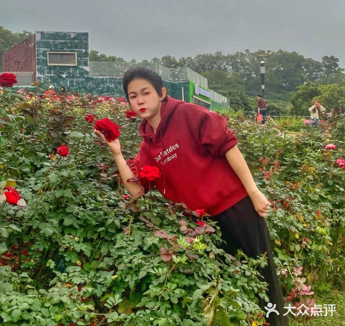 立新湖公园图片