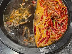 -蜀大侠火锅(建设路第五大道店)