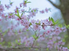 -天鹅湖体育公园