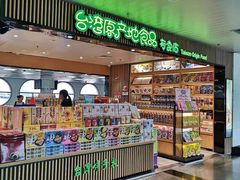 -厦门高崎国际机场-T3航站楼
