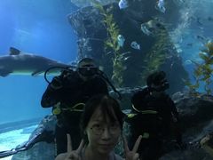 -暹罗海洋世界