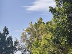 -福建鲤鱼洲酒店