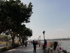 -珠江夜游广州塔·中大码头