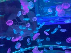 -南昌融创海世界
