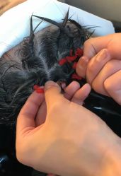-煊私人定制美发会所