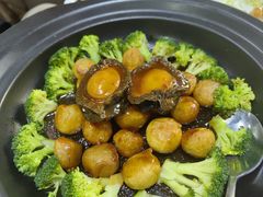 -品味居·首店·大连鲜活海鲜大连菜(东港店)