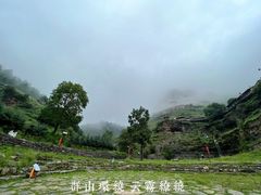 -芦芽山旅游度假区