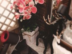 -嘉慧女子水汇