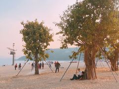 -大梅沙海滨公园