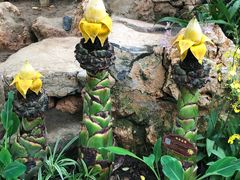 -南通洲际绿博园