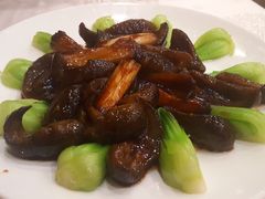 葱烧海参-丰泽园饭店
