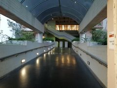 -香港大学